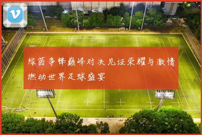绿茵争锋巅峰对决见证荣耀与激情燃动世界足球盛宴