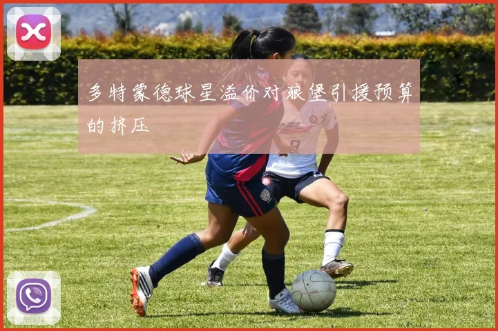 多特蒙德球星溢价对狼堡引援预算的挤压
