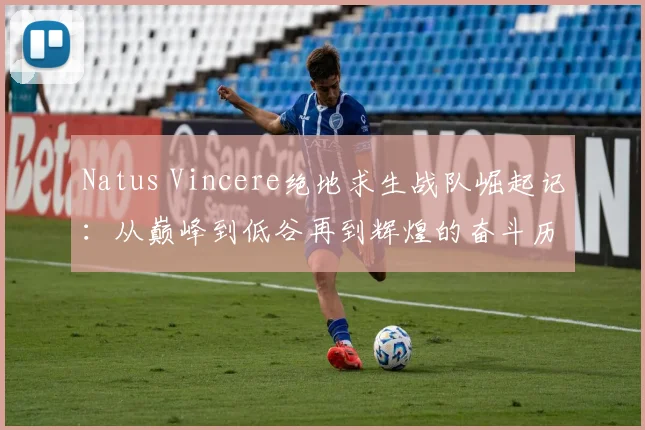 Natus Vincere绝地求生战队崛起记：从巅峰到低谷再到辉煌的奋斗历程