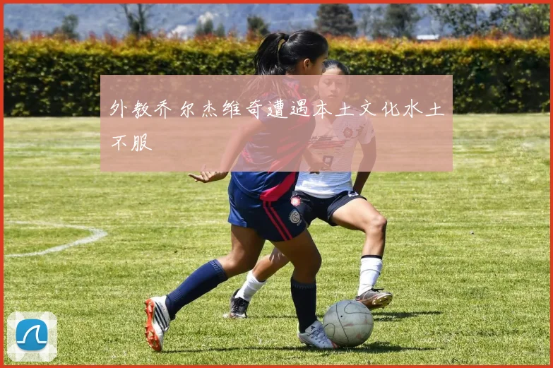 外教乔尔杰维奇遭遇本土文化水土不服