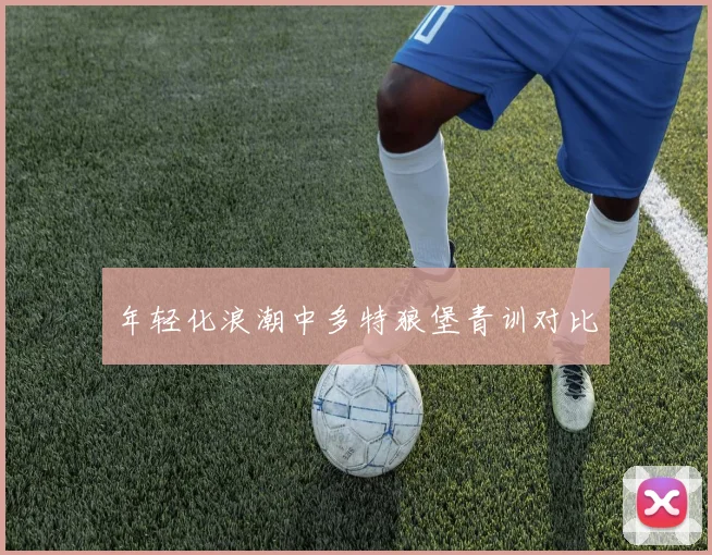 年轻化浪潮中多特狼堡青训对比